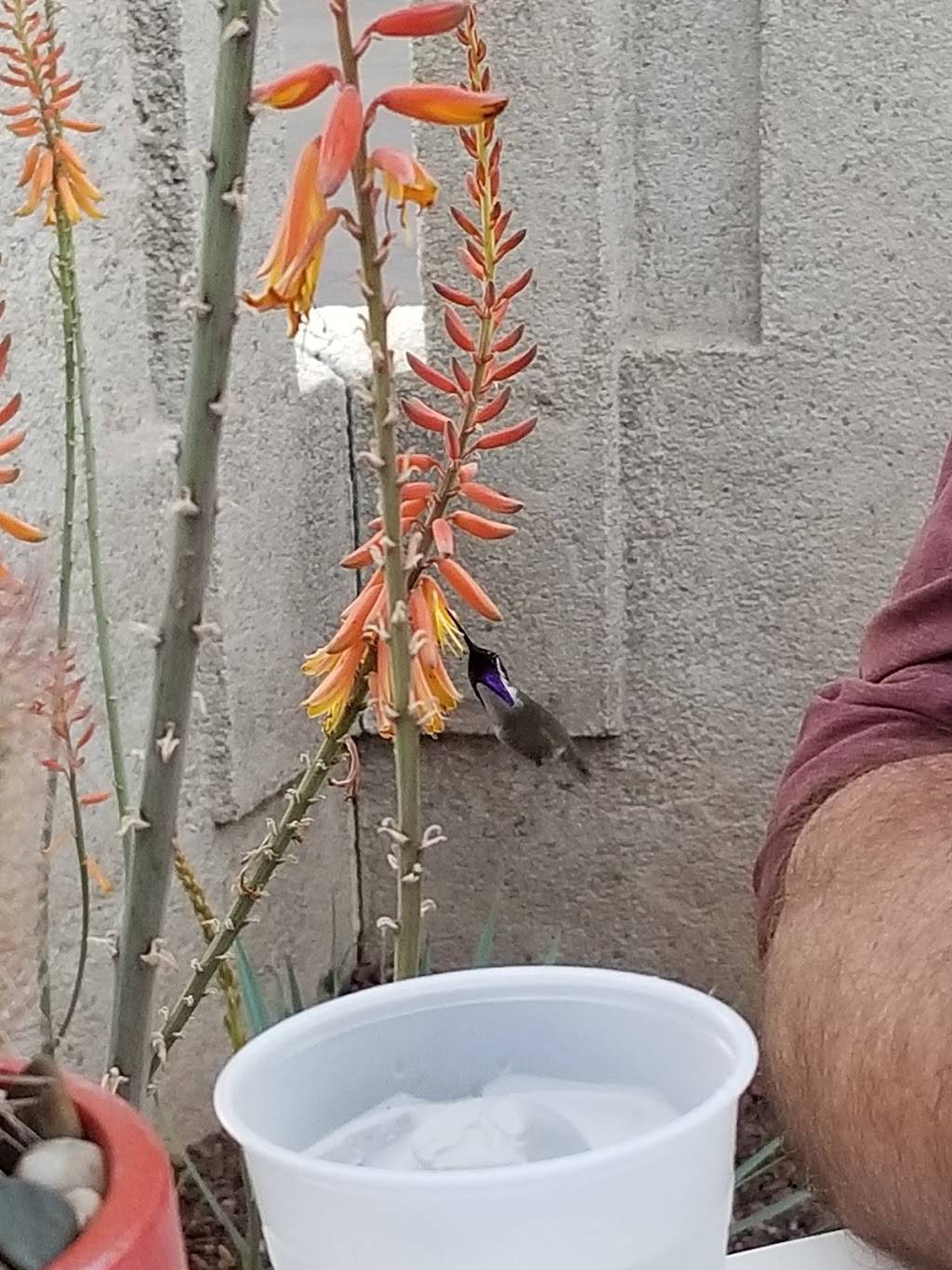 Modern Market Eatery | restaurant | 4821 N Scottsdale Rd Suite 100, Scottsdale, AZ 85251, USA | 4809471131 OR +1 480-947-1131