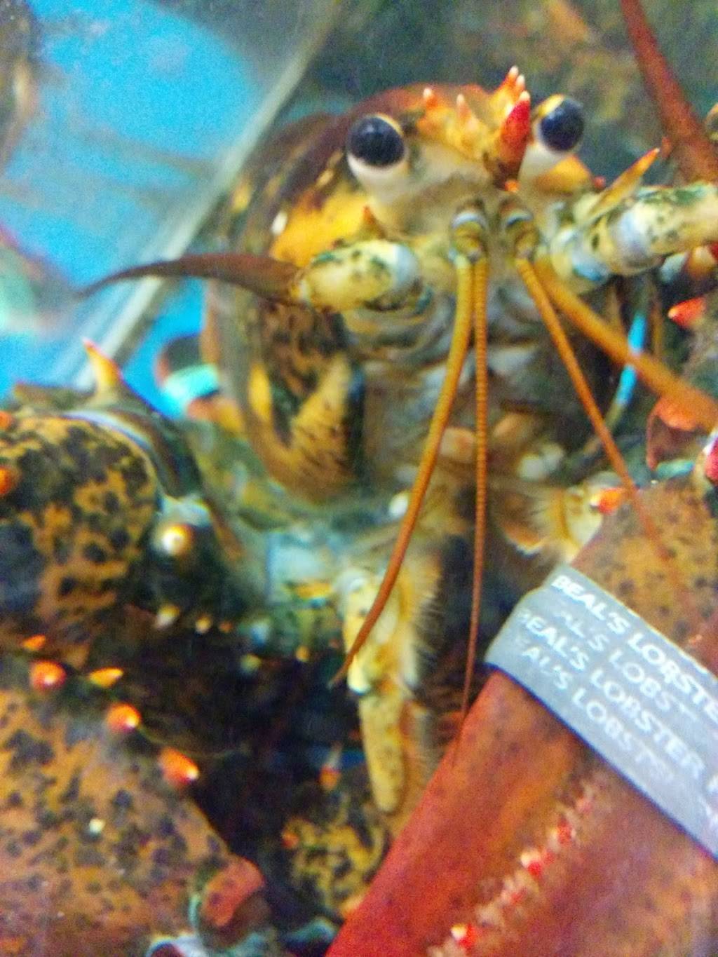 New Great Taste | restaurant | 24 Gorham St, Lowell, MA 01852, USA | 9789378890 OR +1 978-937-8890