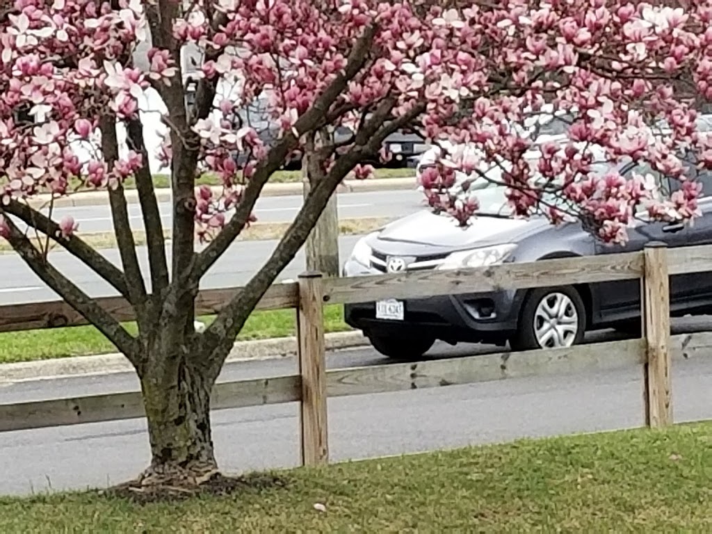 Mi Tierra Deli Alexandria | restaurant | 6531 E, Little River Turnpike, Alexandria, VA 22312, USA | 7038138188 OR +1 703-813-8188