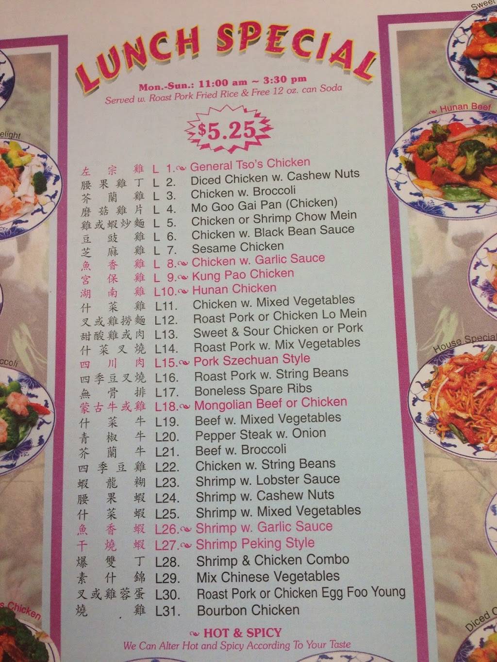 China Wok | restaurant | 14361 Spring Hill Dr, Spring Hill, FL 34609, USA | 3526667898 OR +1 352-666-7898