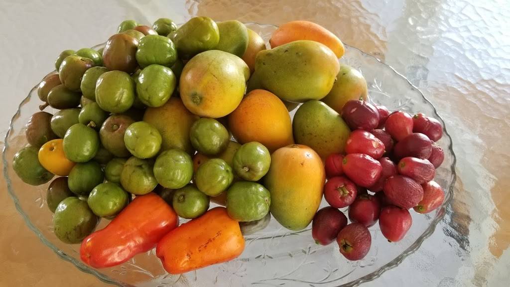 Texis | restaurant | 2813 Pico Blvd, Los Angeles, CA 90006, USA | 3237348803 OR +1 323-734-8803