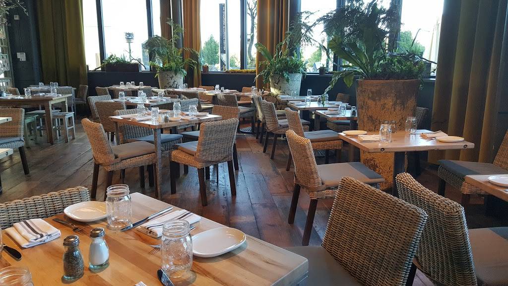 Terrain Cafe | cafe | Stanford Shopping Center, 180 El Camino Real #1301, Palo Alto, CA 94304, USA | 6502621830 OR +1 650-262-1830