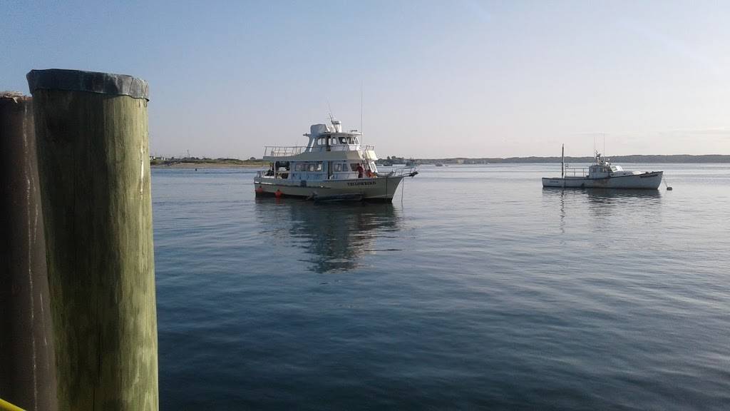 Stacey Janes Restaurant | night club | 9 Ocean Blvd a, Hampton, NH 03842, USA | 6039299005 OR +1 603-929-9005