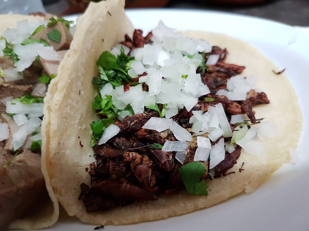 Taqueria Los Compadres | restaurant | 2103, 3213 Mt Pleasant St NW, Washington, DC 20010, USA | 2022483227 OR +1 202-248-3227