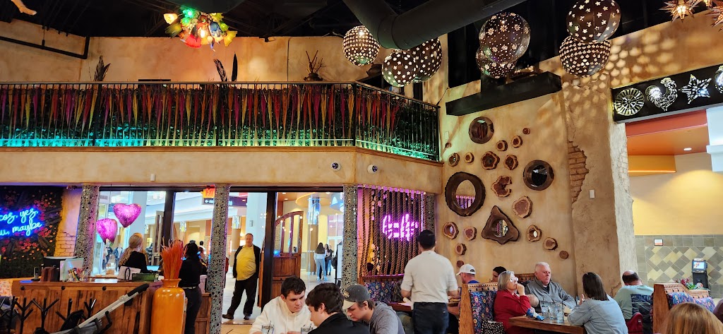 PAPA GALLO | restaurant | 3405 Candlers Mountain Rd Suite A-33, Lynchburg, VA 24502, USA | 4342195820 OR +1 434-219-5820