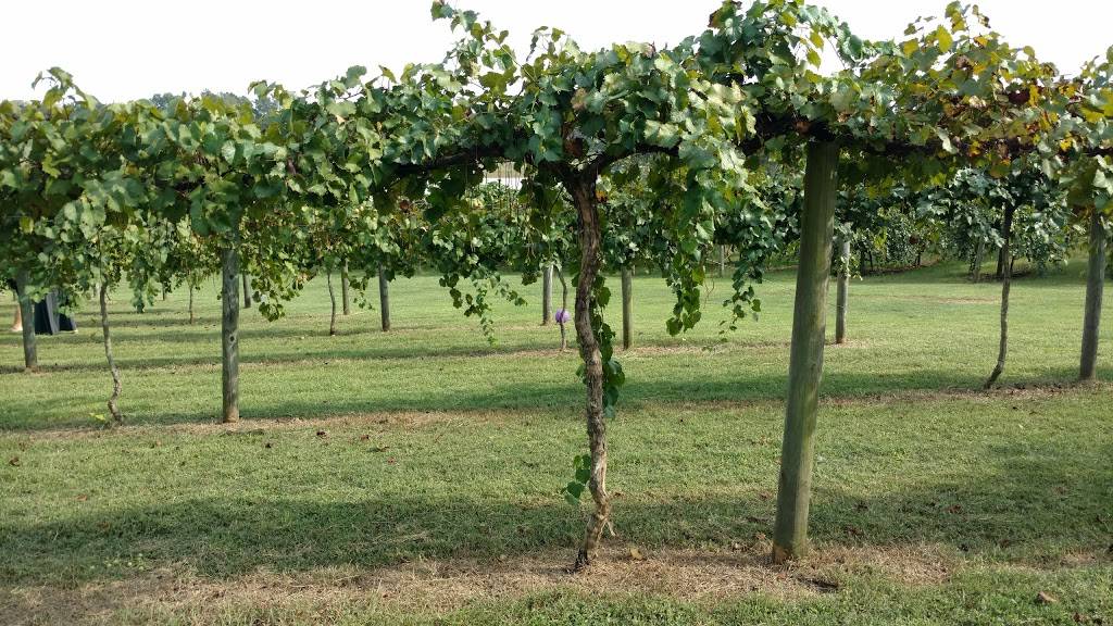 Gregory Vineyards | restaurant | 275 Bowling Spring Dr, Angier, NC 27501, USA | 9198947700 OR +1 919-894-7700
