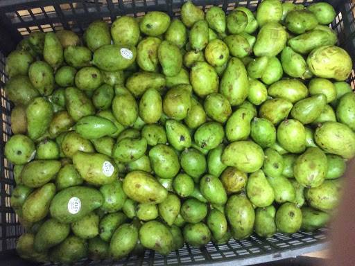 mekong asian seafood | restaurant | 3068 Q St, Omaha, NE 68107, USA | 4027311204 OR +1 402-731-1204