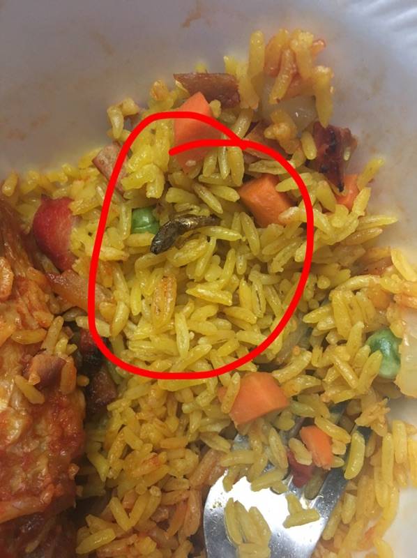 New China Restaurant | restaurant | 7649 W Colonial Dr #160, Orlando, FL 32818, USA | 4072916188 OR +1 407-291-6188