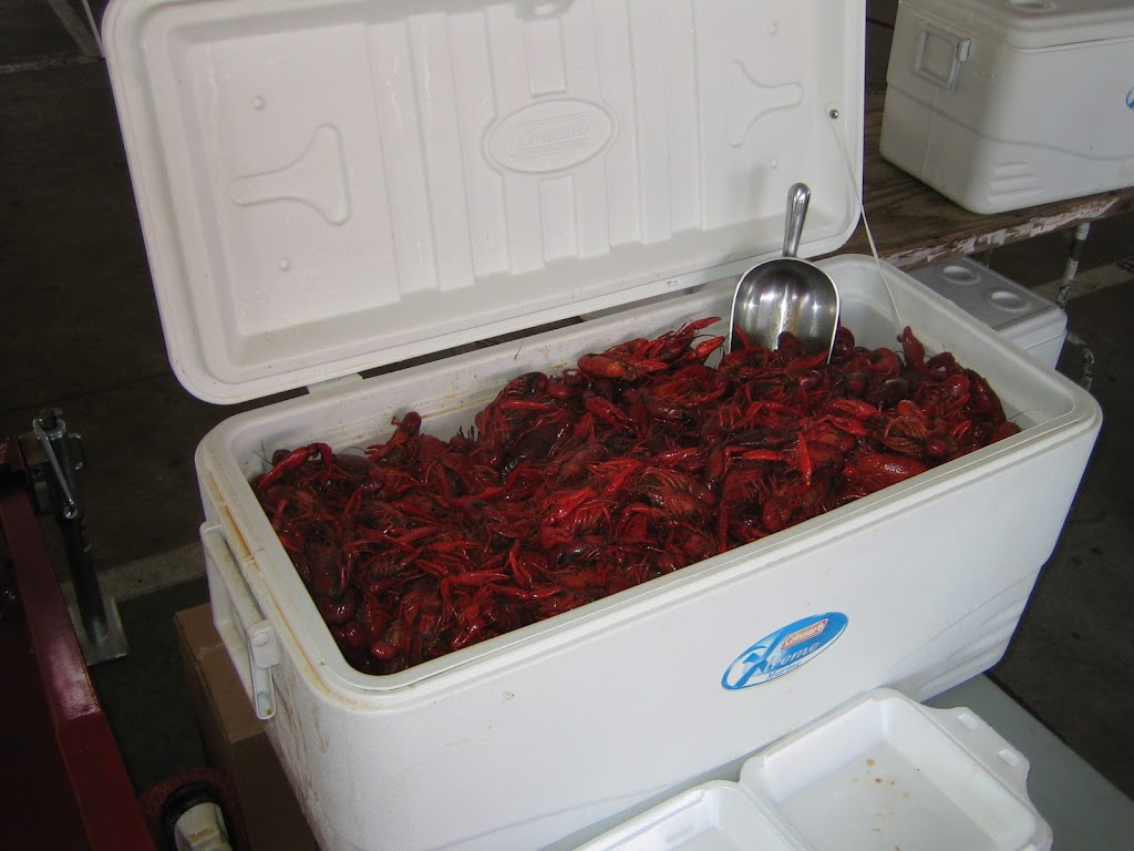 Heads or Tails Cajun Crawfish | restaurant | 1550 N Kealy Ave Building 4 Suite A, Lewisville, TX 75057, USA | 4694505617 OR +1 469-450-5617