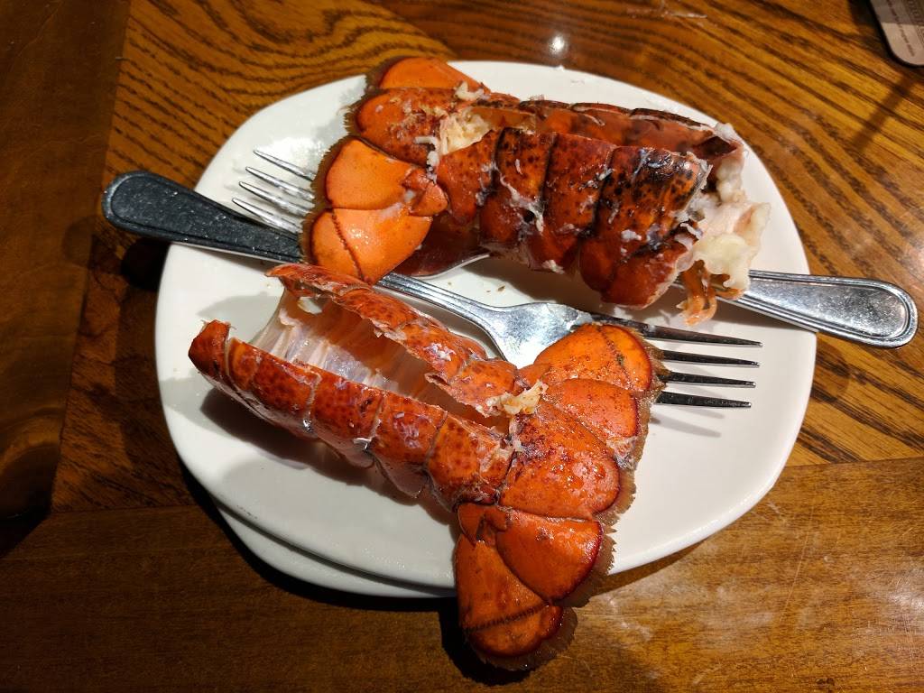 Outback Steakhouse | restaurant | 3690 E Bay Dr, Largo, FL 33771, USA | 7275389499 OR +1 727-538-9499