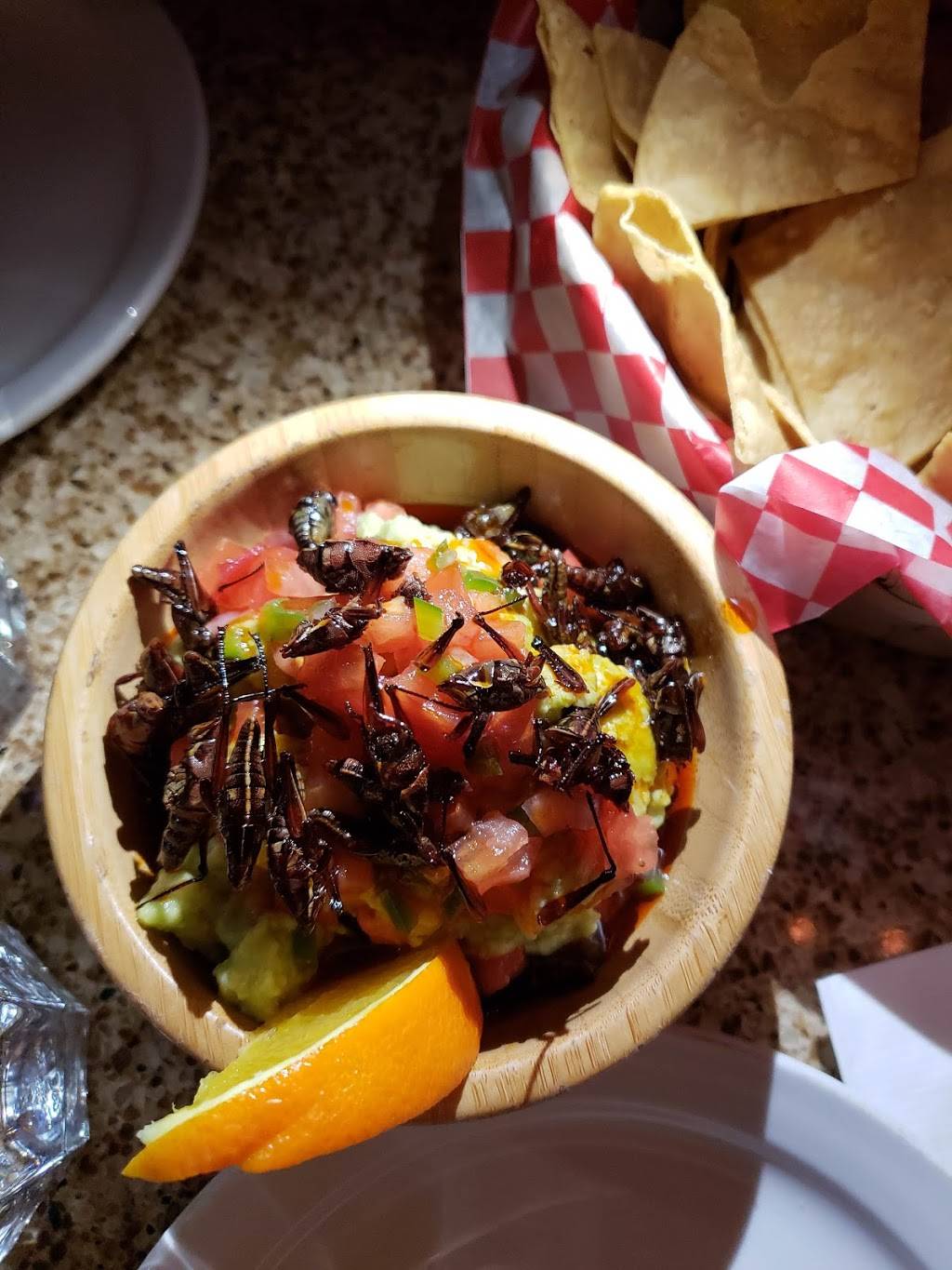 XOLA | restaurant | 2222 Queen St E, Toronto, ON M4E 1H2, Canada | 6478279070 OR +1 647-827-9070