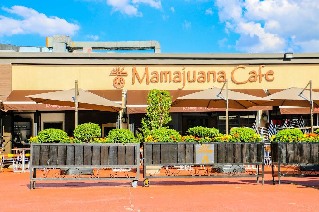 Mamajuana Cafe | restaurant | 33-15 56th St, Woodside, NY 11377, USA | 7185656454 OR +1 718-565-6454