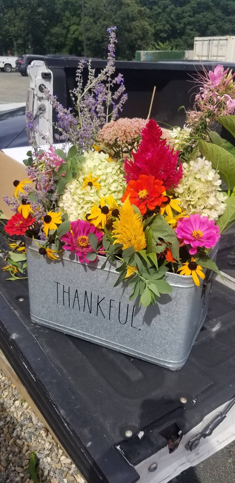 The Stand Branford | restaurant | 196 S Montowese St, Branford, CT 06405, USA | 2034334728 OR +1 203-433-4728