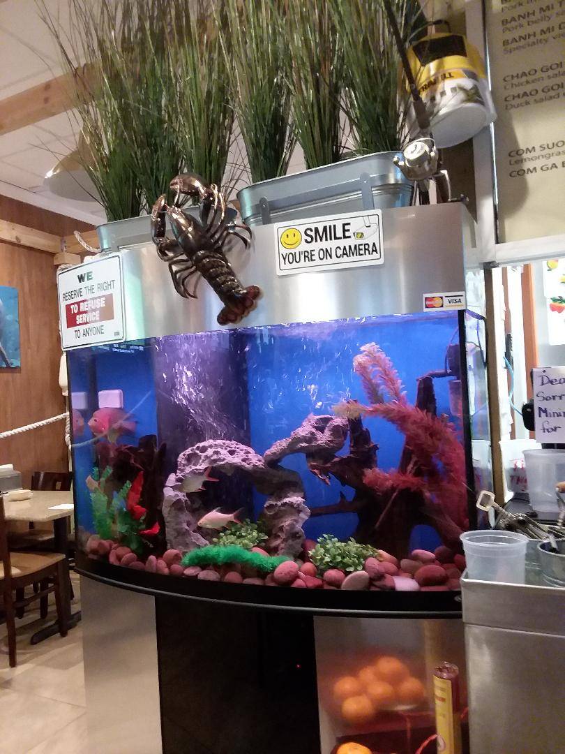 Crawfish Express | restaurant | Houston, TX 77072, USA | 2818093648 OR +1 281-809-3648