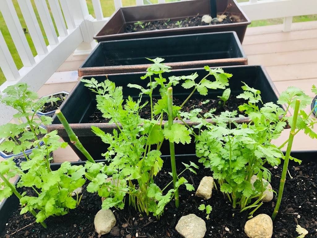 1 Sourwood Circle, Worcester, MA 01605 | restaurant | 1 Sourwood Cir, Worcester, MA 01605, USA | 6695003395 OR +1 669-500-3395