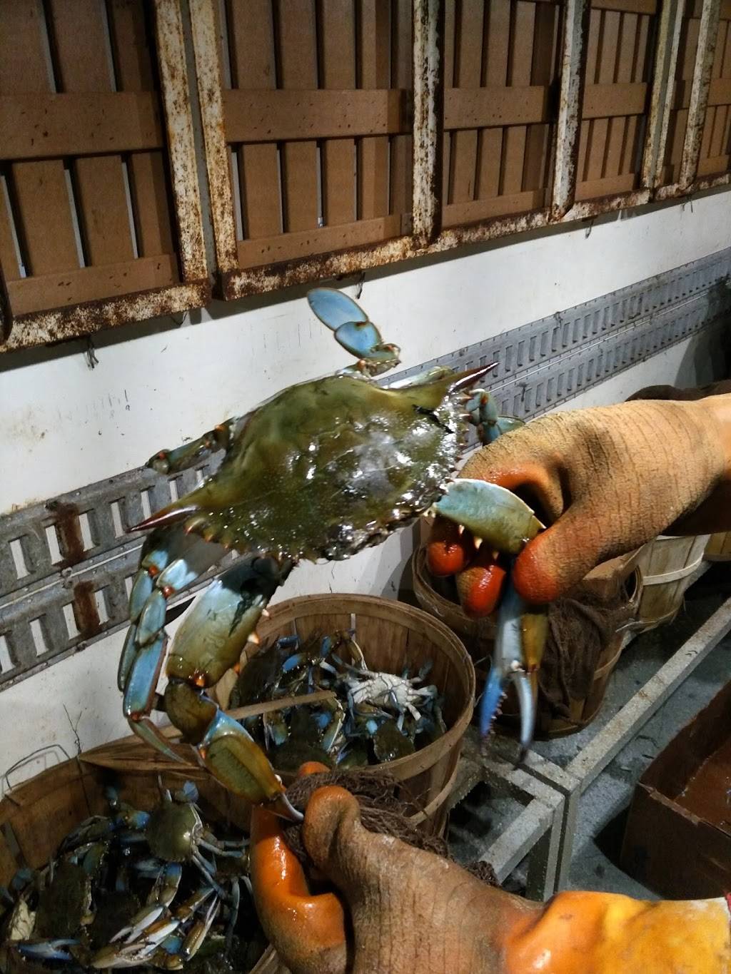 River City Crabs & Seafood | meal takeaway | 921 Pulaski Hwy, Havre De Grace, MD 21078, USA | 4109395625 OR +1 410-939-5625