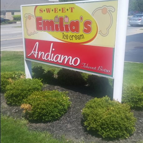Andiamo Takeout Bistro | restaurant | 545 W Klein Rd, Williamsville, NY 14221, USA | 7165681111 OR +1 716-568-1111