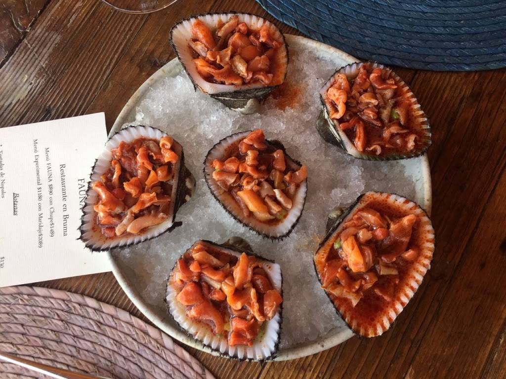 Fauna | restaurant | Carretera Ensenada - Tecate km #73, 22760 Guadalupe, B.C., Mexico | 016461036403 OR +52 646 103 6403