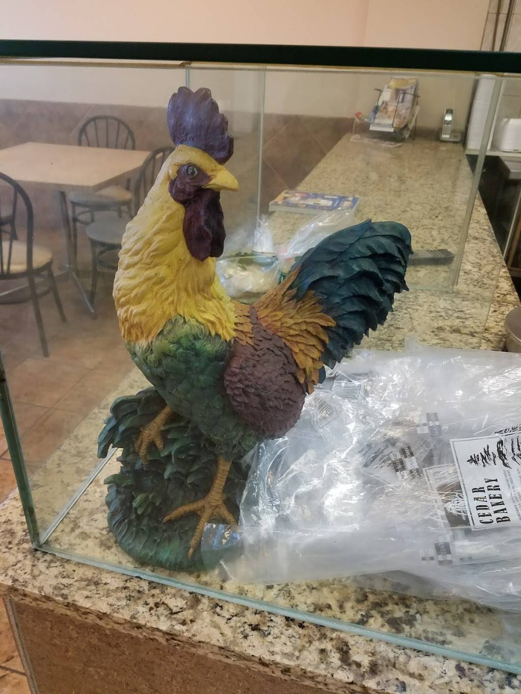 Sana Grill | restaurant | 1686 Main St W, Hamilton, ON L8S 0A2, Canada | 9057770222 OR +1 905-777-0222