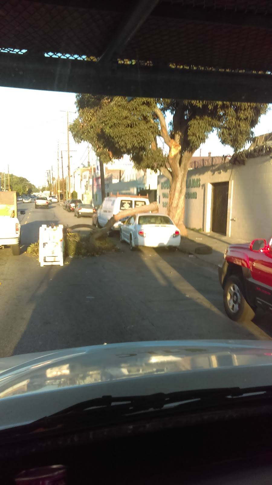 Primo Burgers | restaurant | 6325 S Western Ave, Los Angeles, CA 90047, USA | 3237531605 OR +1 323-753-1605