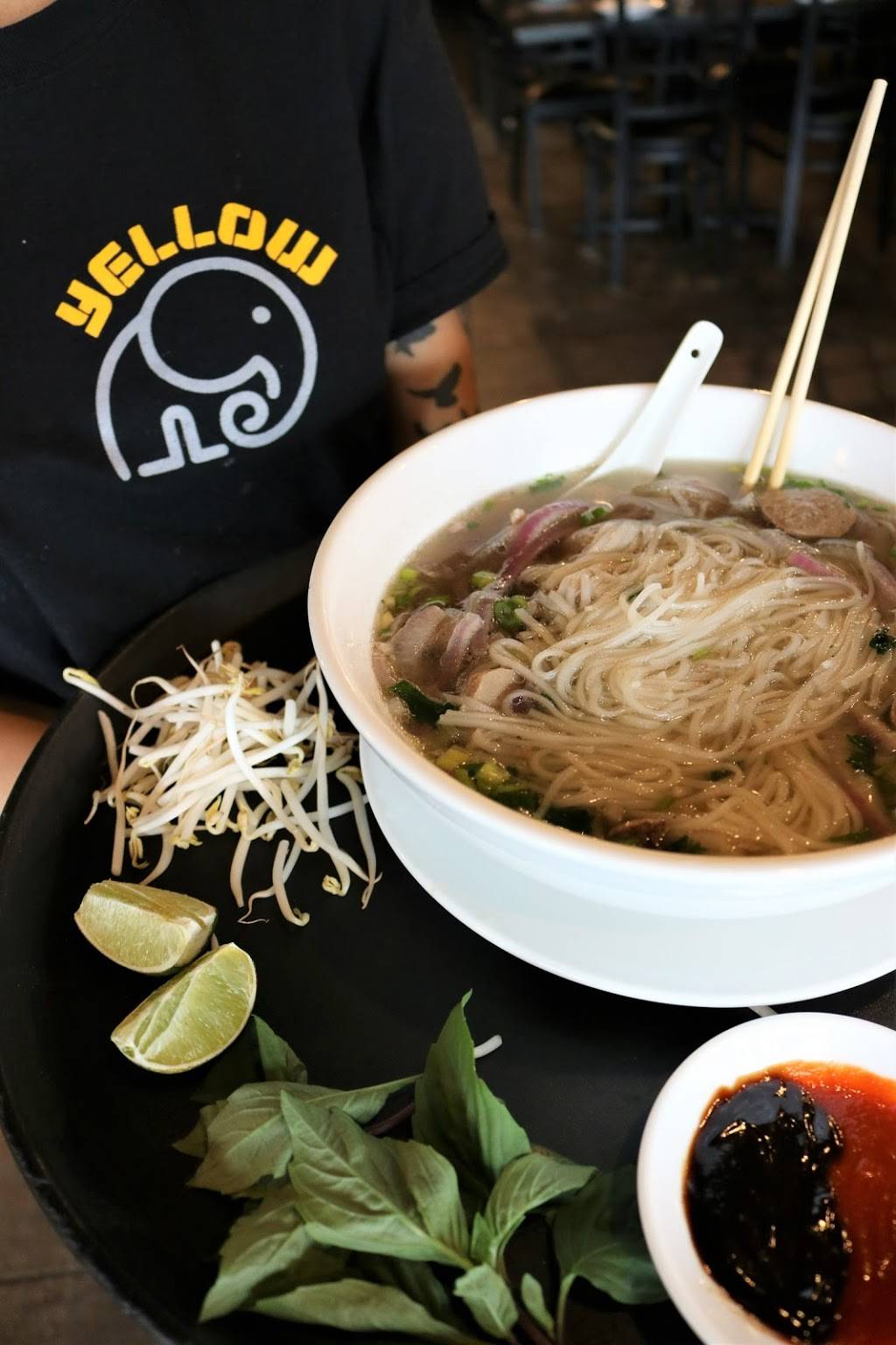 Yellow Elephant | restaurant | 57 Perinton Hills Office Park, Fairport, NY 14450, USA | 5852237333 OR +1 585-223-7333