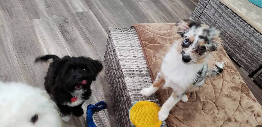 Pickles Playland | restaurant | 12669 NE 85th St, Kirkland, WA 98033, USA | 4252984530 OR +1 425-298-4530