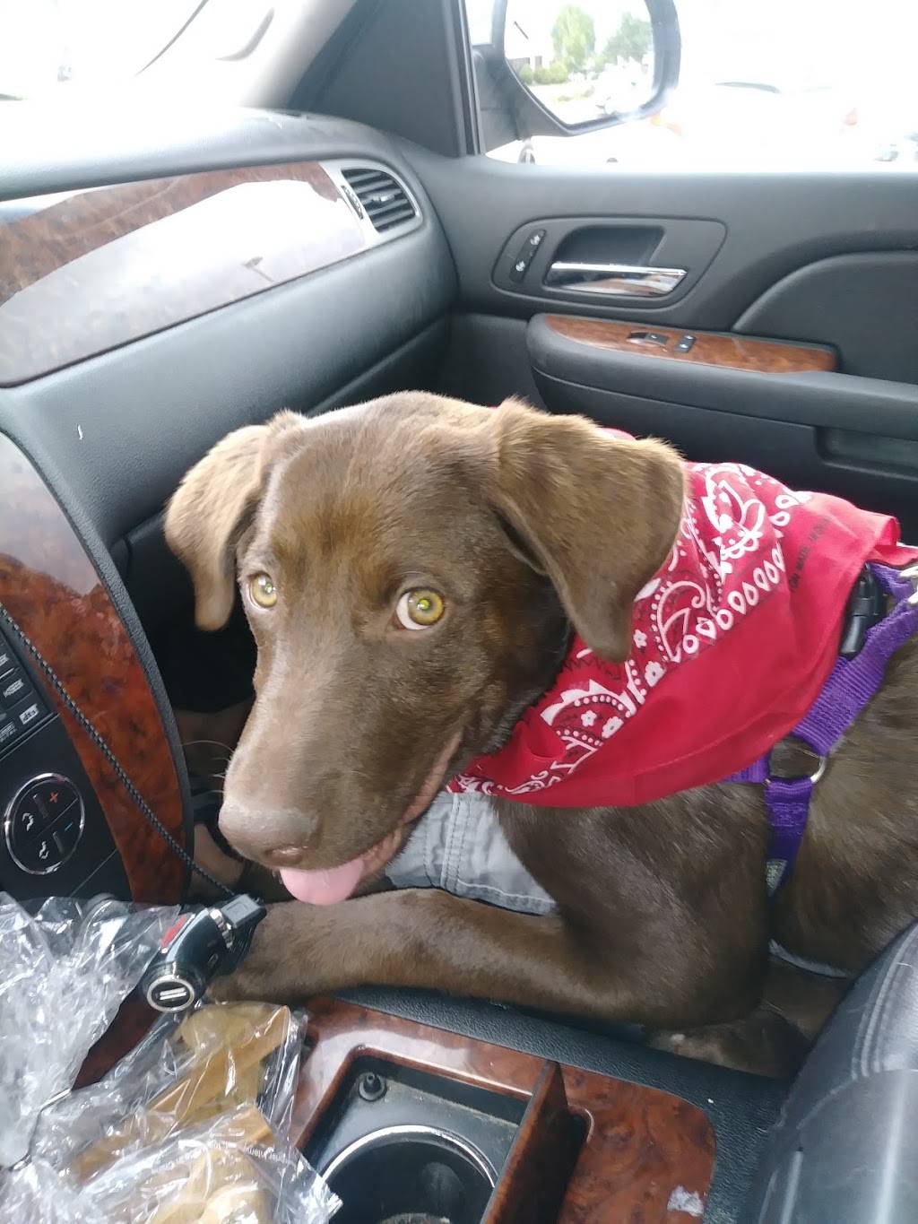 Chick-fil-A | restaurant | 7990 N Academy Blvd, Colorado Springs, CO 80920, USA | 7195984646 OR +1 719-598-4646