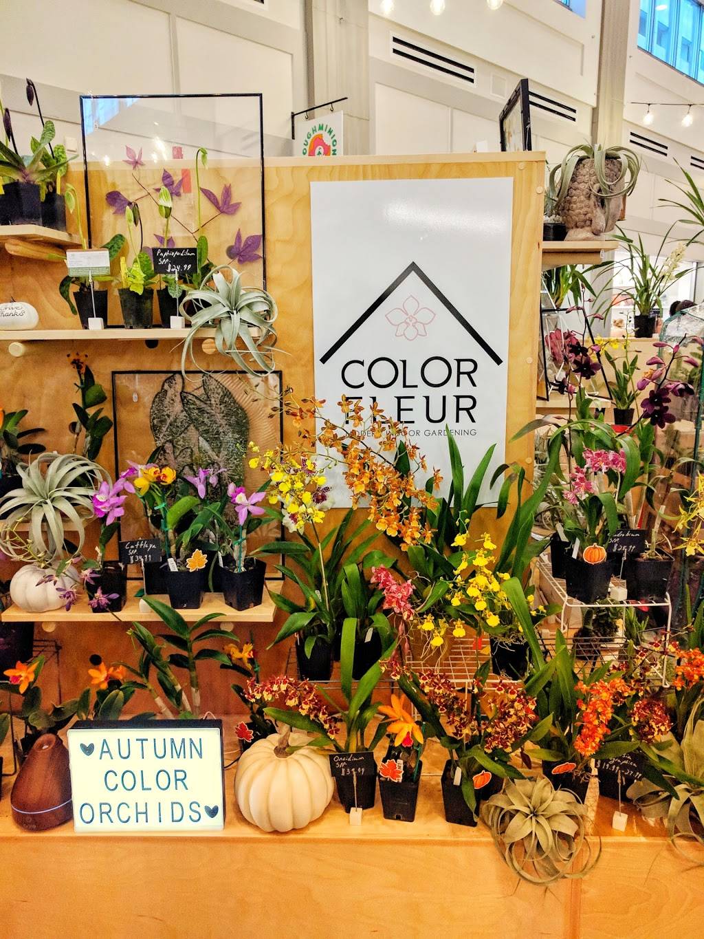 Selden Market | shopping mall | 208 E Main St, Norfolk, VA 23510, USA | 7575102740 OR +1 757-510-2740