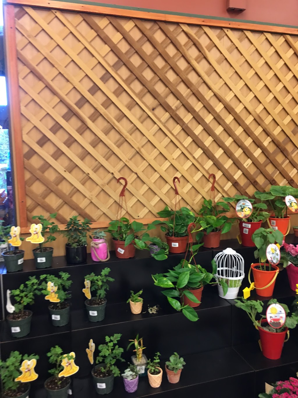 Save Mart | meal delivery | 100 W River Rd, Tahoe City, CA 96145, USA | 5305835231 OR +1 530-583-5231