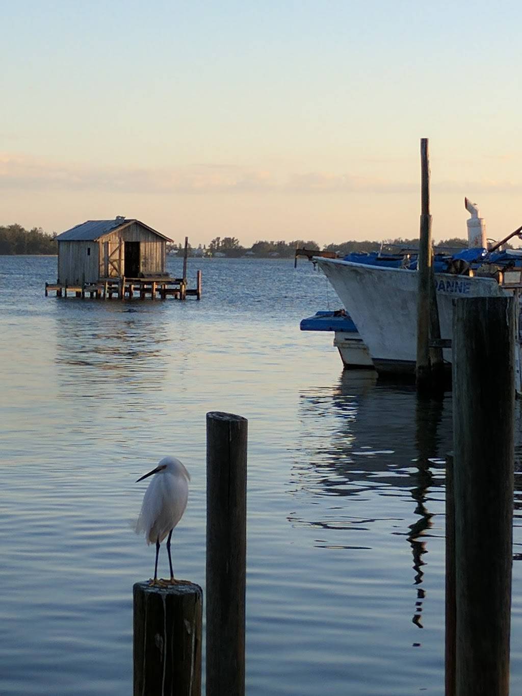 Star Fish Company | restaurant | 12306 46th Ave W, Cortez, FL 34215, USA | 9417941243 OR +1 941-794-1243