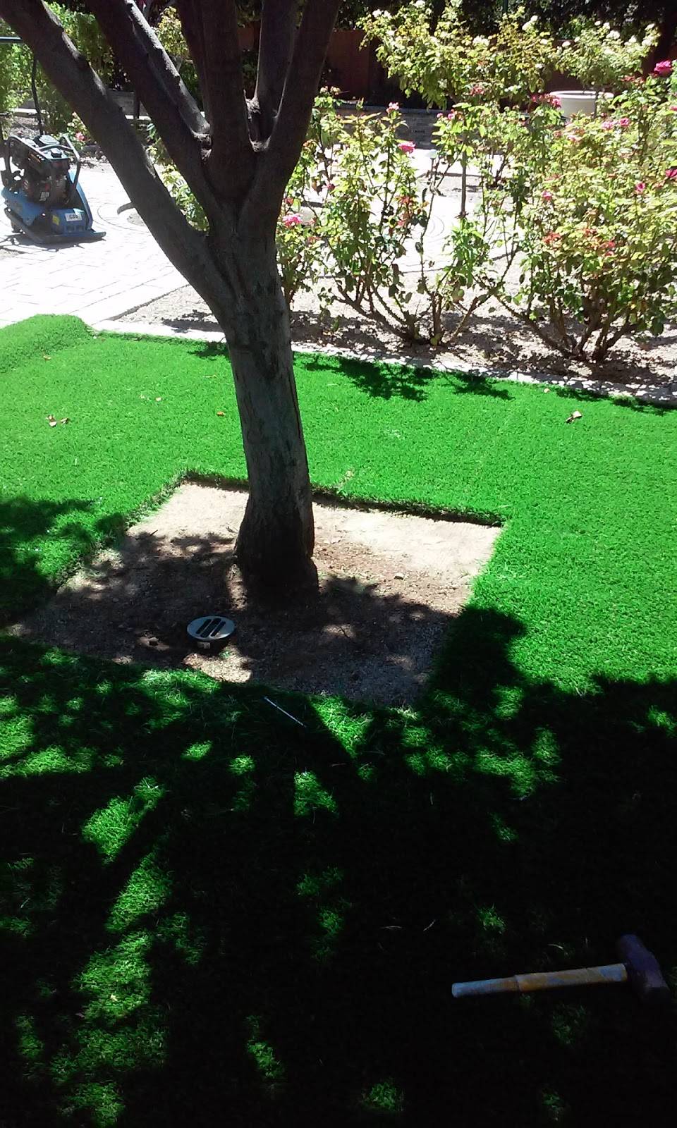 JG Steakhouse | restaurant | 6000 E Camelback Rd, Scottsdale, AZ 85251, USA | 4809418200 OR +1 480-941-8200