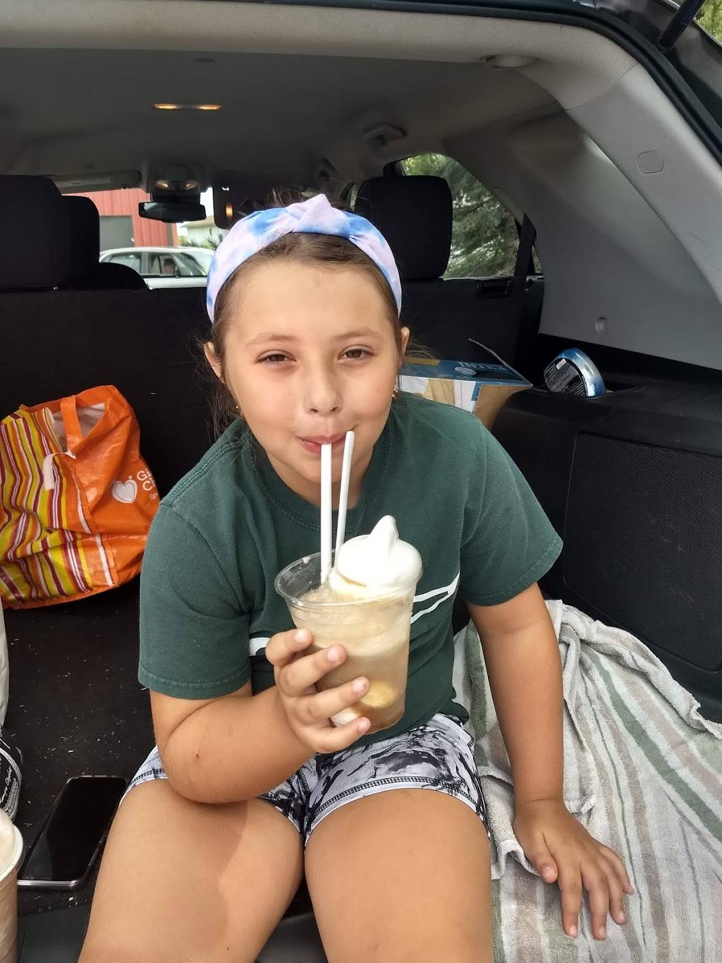 Red Onion Drive Inn | restaurant | 610 Wells St, Belgrade, MN 56312, USA | 3202543507 OR +1 320-254-3507