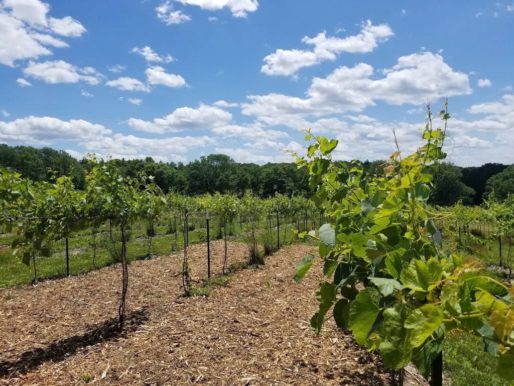 Mountain View Vineyard, Winery & Brewery | restaurant | 2332 Walters Rd, Stroudsburg, PA 18360, USA | 5706190053 OR +1 570-619-0053