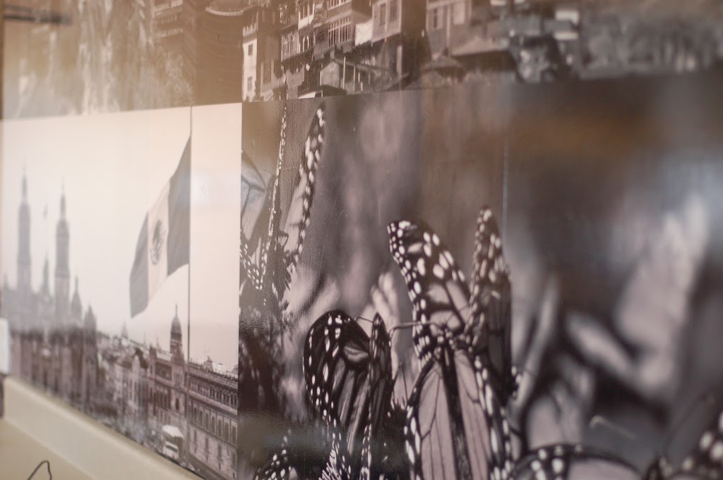 El Patron Tacos & More | restaurant | 303 N Bell Blvd, Cedar Park, TX 78613, USA | 7372120501 OR +1 737-212-0501