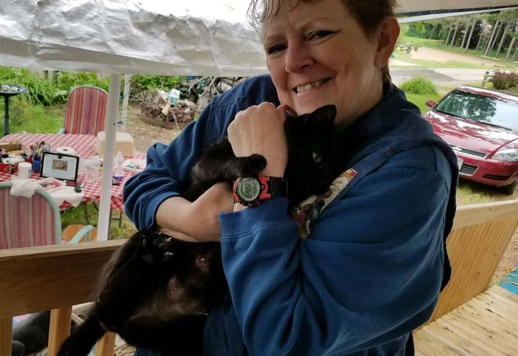 McDonalds | restaurant | W6308 Wally Way, Greenville, WI 54942, USA | 9207579260 OR +1 920-757-9260