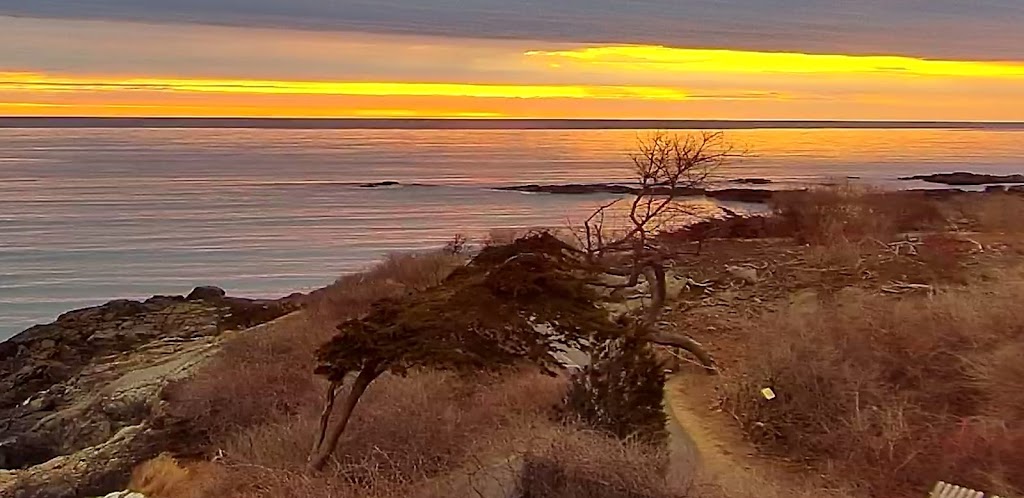 Beachmere Inn | restaurant | 62 Beachmere Pl, Ogunquit, ME 03907, USA | 2076462021 OR +1 207-646-2021