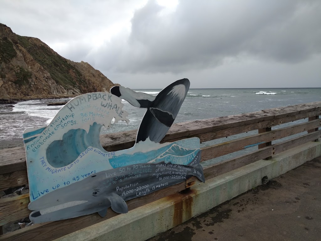 Pier | Chowder House & Tap Room | restaurant | 790 Port Rd, Point Arena, CA 95468, USA | 7078823400 OR +1 707-882-3400