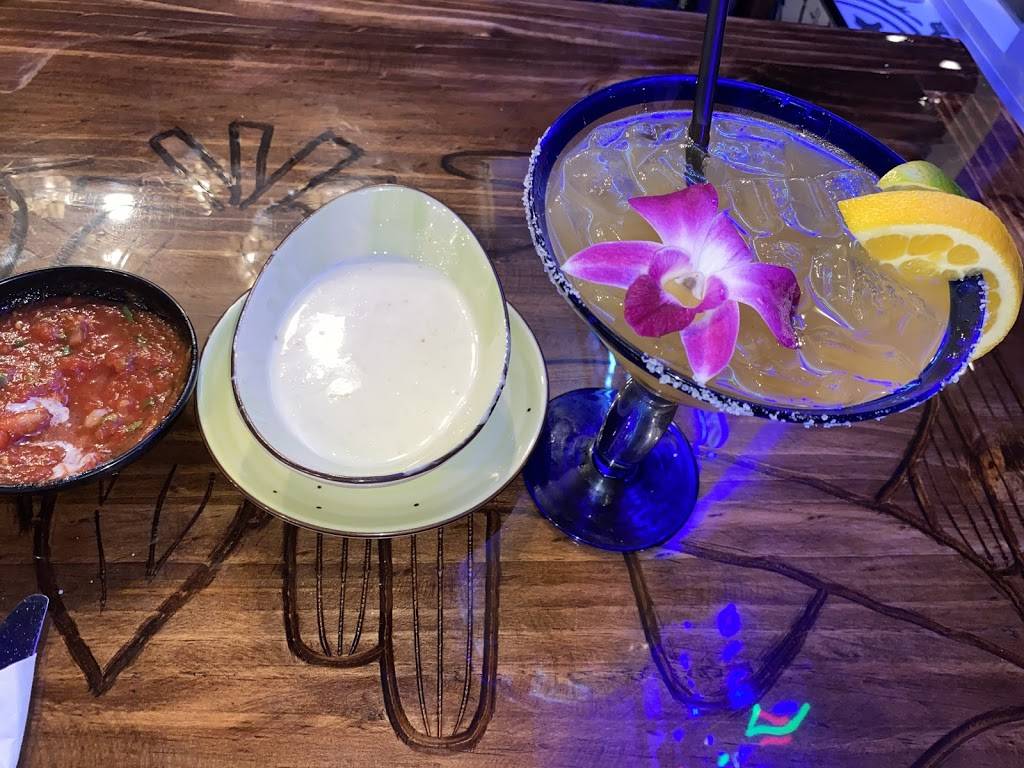 Salsas Cocina Palencia | restaurant | 120 Palencia Village Dr C 101, St. Augustine, FL 32095, USA | 9044299467 OR +1 904-429-9467