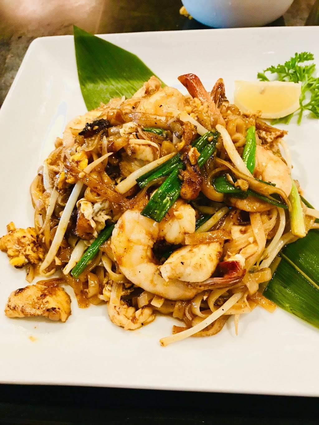 Hamachi Thai and Sushi Restaurant | restaurant | 10288 W Sample Rd, Coral Springs, FL 33065, USA | 9545757900 OR +1 954-575-7900