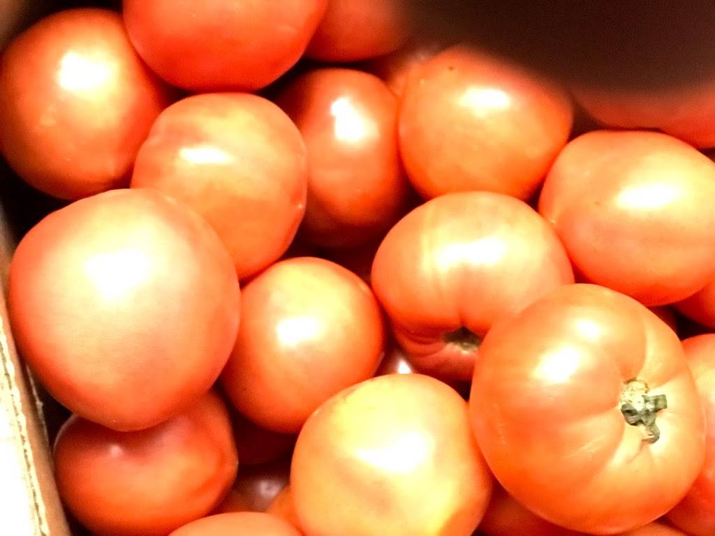 Cocina Mio | restaurant | 3322 Davison Rd, Flint, MI 48506, USA | 8103360926 OR +1 810-336-0926