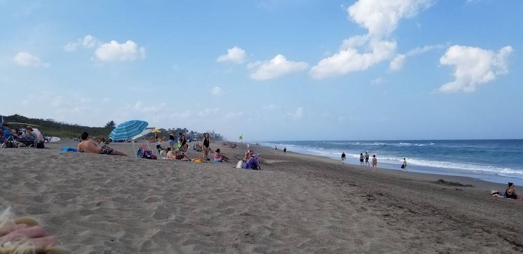 Sea Turtle Beach Concessions | restaurant | 4191 NE Ocean Blvd, Jensen Beach, FL 34957, USA | 7722250703 OR +1 772-225-0703