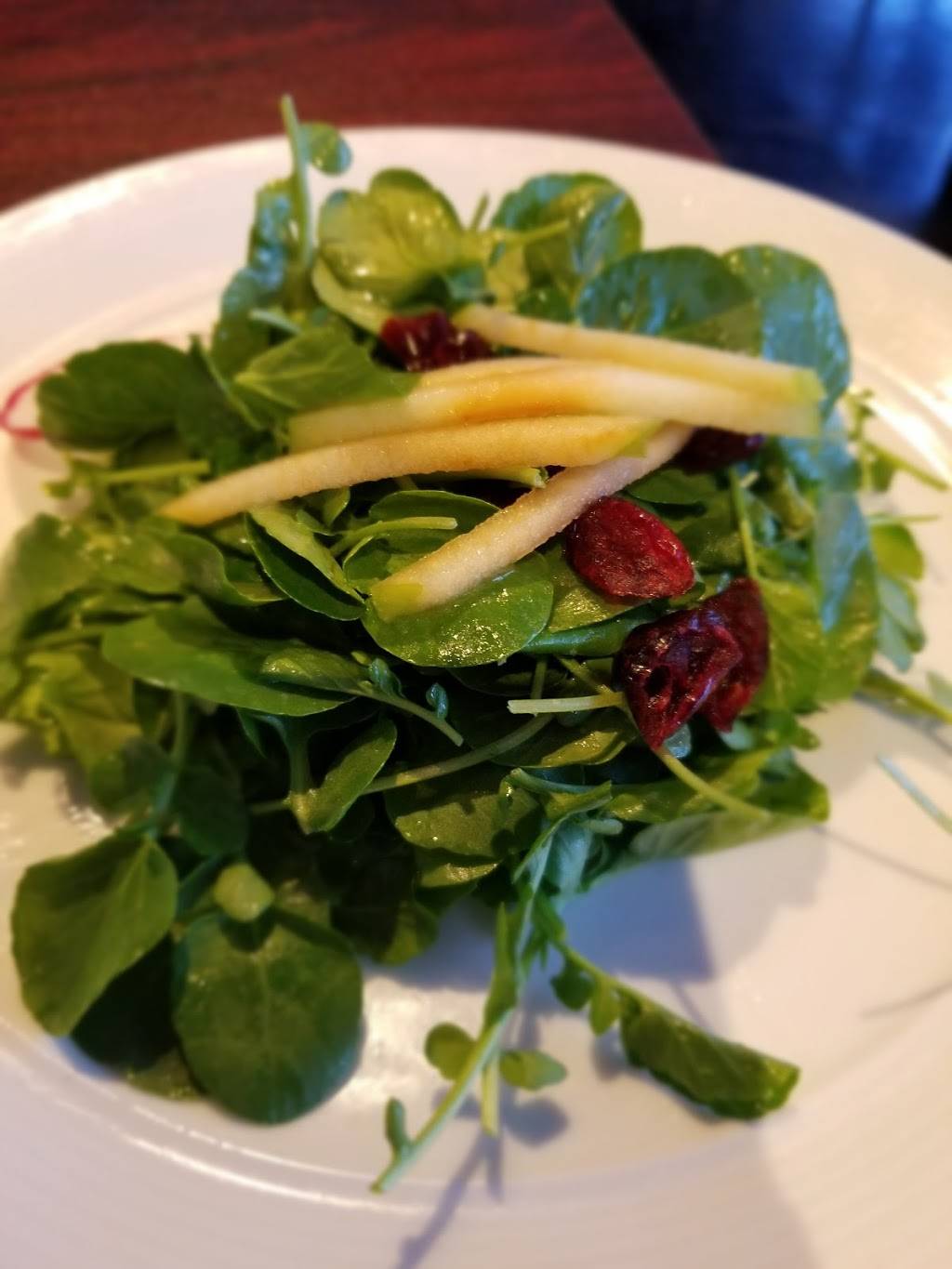 SaltBox Oyster Company | restaurant | 1601 Willow Lawn Dr Suite 300C, Richmond, VA 23230, USA | 8045285554 OR +1 804-528-5554