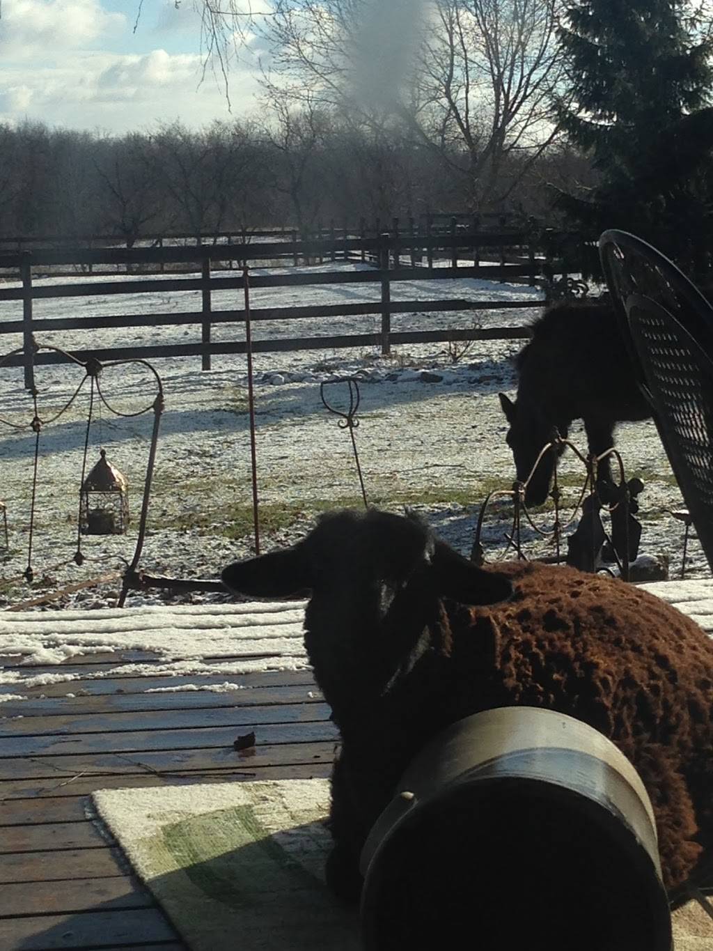 The Winery at Perennial Vineyards | restaurant | 11877 Poorman St SW, Navarre, OH 44662, USA | 3308323677 OR +1 330-832-3677