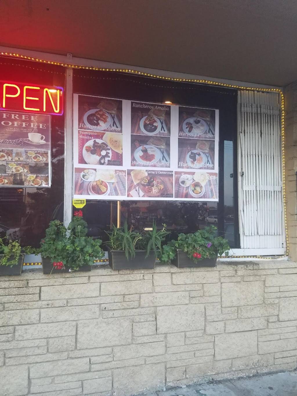 Restaurante Amalias | restaurant | 11541 Sherman Way, North Hollywood, CA 91605, USA | 8185034511 OR +1 818-503-4511