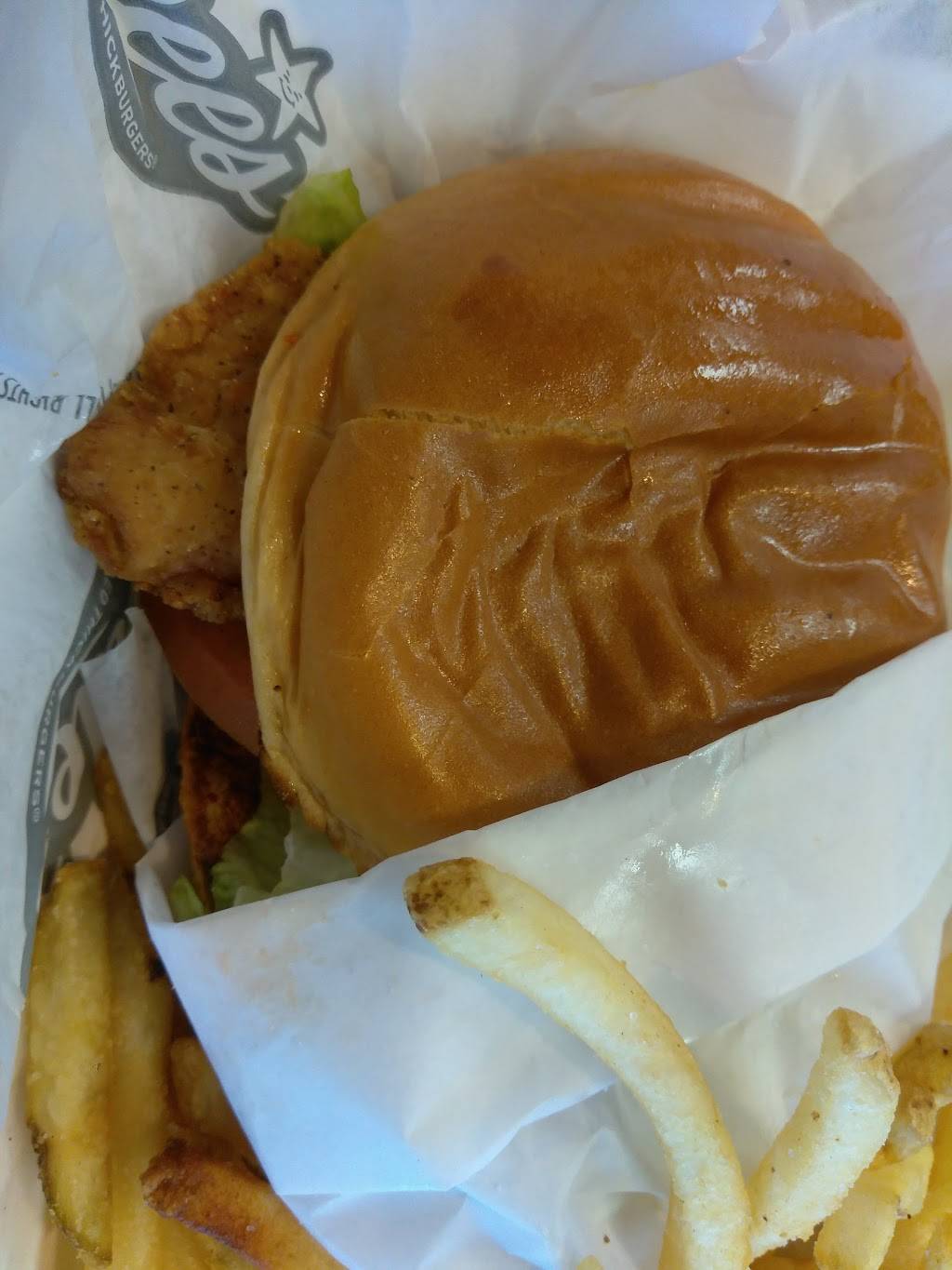 Hardees | restaurant | 3960 S Suncoast Blvd, Homosassa, FL 34448, USA | 3526281990 OR +1 352-628-1990