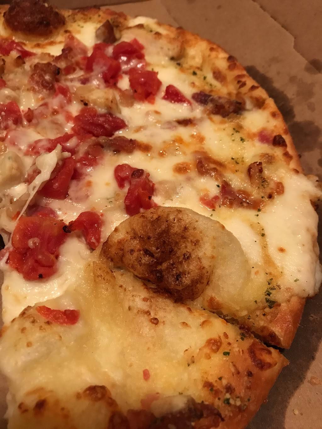 Dominos Pizza | meal delivery | 2166 Wilma Rudolph Blvd, Clarksville, TN 37040, USA | 9315523355 OR +1 931-552-3355