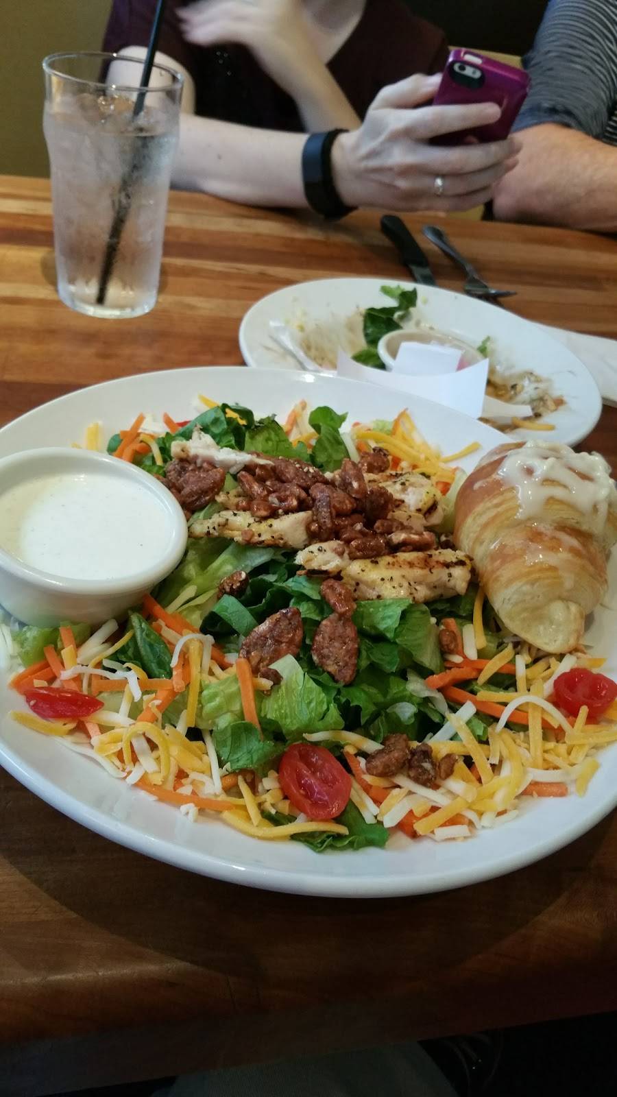 Cheddars Scratch Kitchen | restaurant | 1025 Woodruff Rd, Greenville, SC 29607, USA | 8642971046 OR +1 864-297-1046