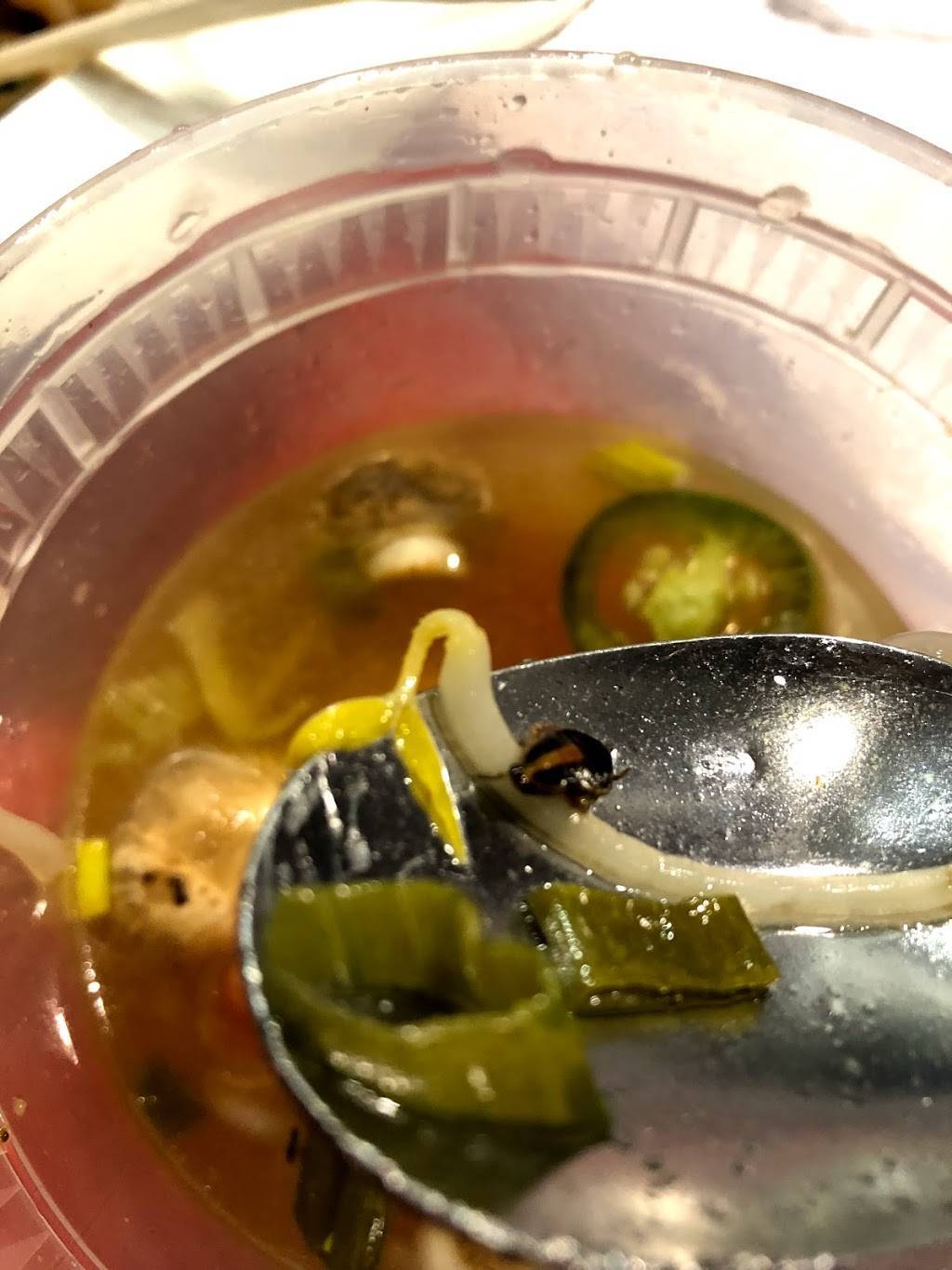 Sunflower | restaurant | 3111 16th St, San Francisco, CA 94103, USA | 4156265022 OR +1 415-626-5022