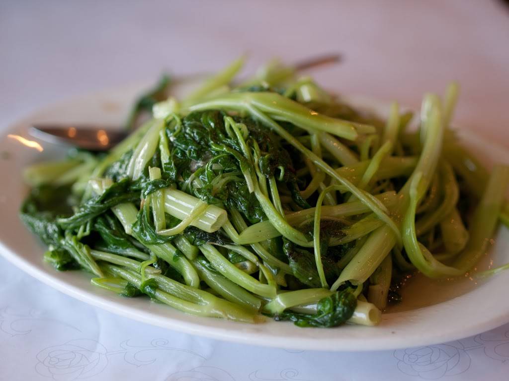 Hong Kong Restaurant | restaurant | 3691 El Camino Real, Palo Alto, CA 94306, USA | 6502519062 OR +1 650-251-9062