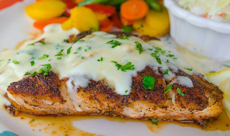 Sea Critters Cafe | cafe | 2007 Pass a Grille Way, St Pete Beach, FL 33706, USA | 7273603706 OR +1 727-360-3706